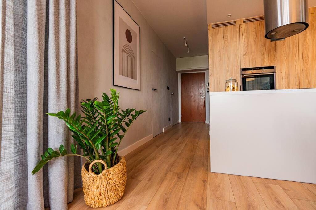 Apartament Na Grabiszynskiej Breslavia Exterior foto