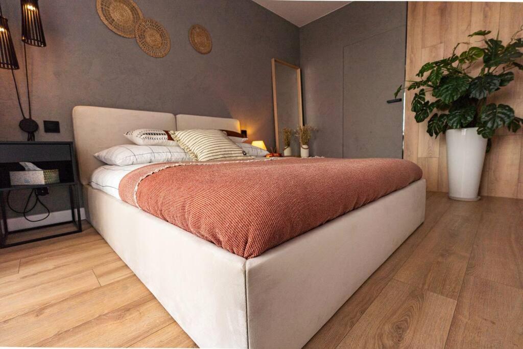Apartament Na Grabiszynskiej Breslavia Exterior foto